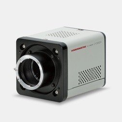 濱松 TDI相機(jī) C10000-801