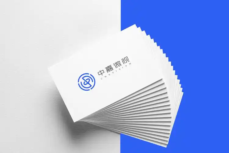 中嘉微視完成近億元A輪融資,系國產半導體檢測設備商(圖1) 9-250Z51FRB10.png