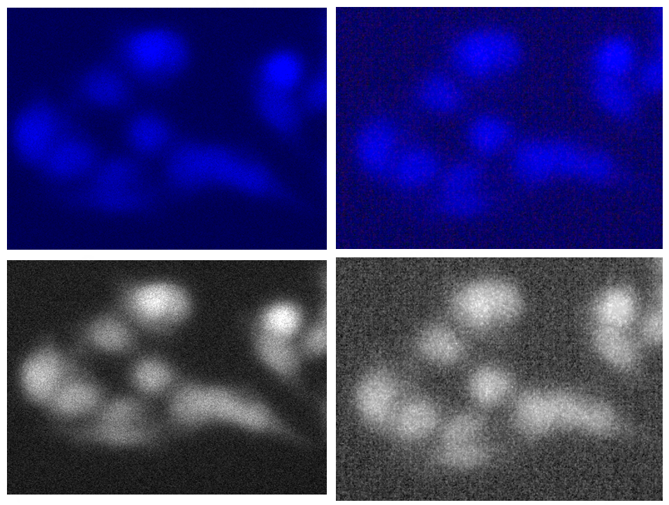 黑白相機與彩色相機的成像優勢分析以及常見的誤區說明(圖4) 1-251202111031V6.png