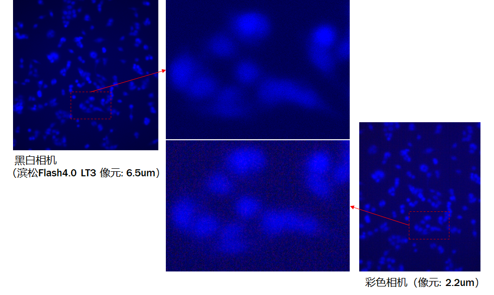 黑白相機與彩色相機的成像優勢分析以及常見的誤區說明(圖5) 1-25120211113GQ.png