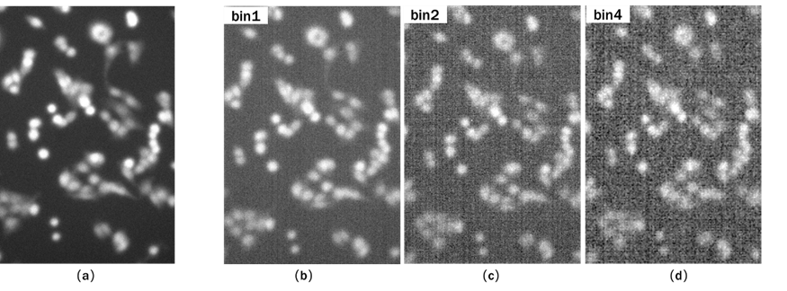 黑白相機與彩色相機的成像優勢分析以及常見的誤區說明(圖6) 1-251202111214534.png