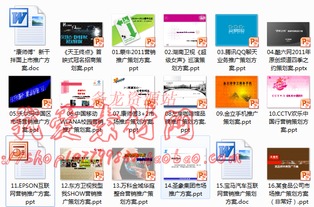 《品牌营销策划方案精选 60份全案解析与实战素材汇编》