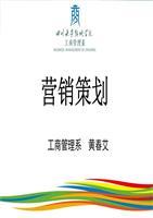 市场营销策划 从理论到实践的全面指南